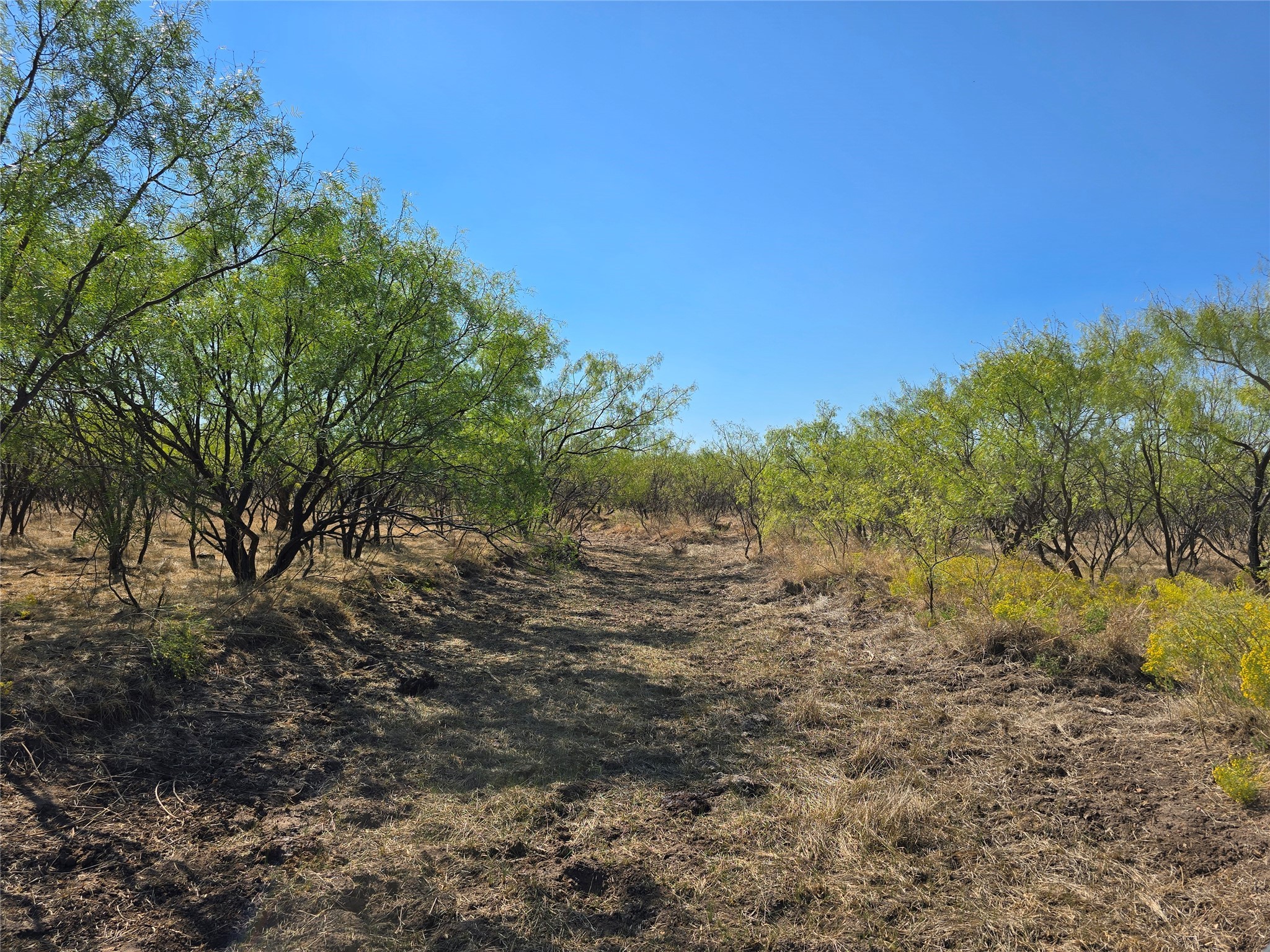 Tbd Cr 498 Goldsboro TX 79519