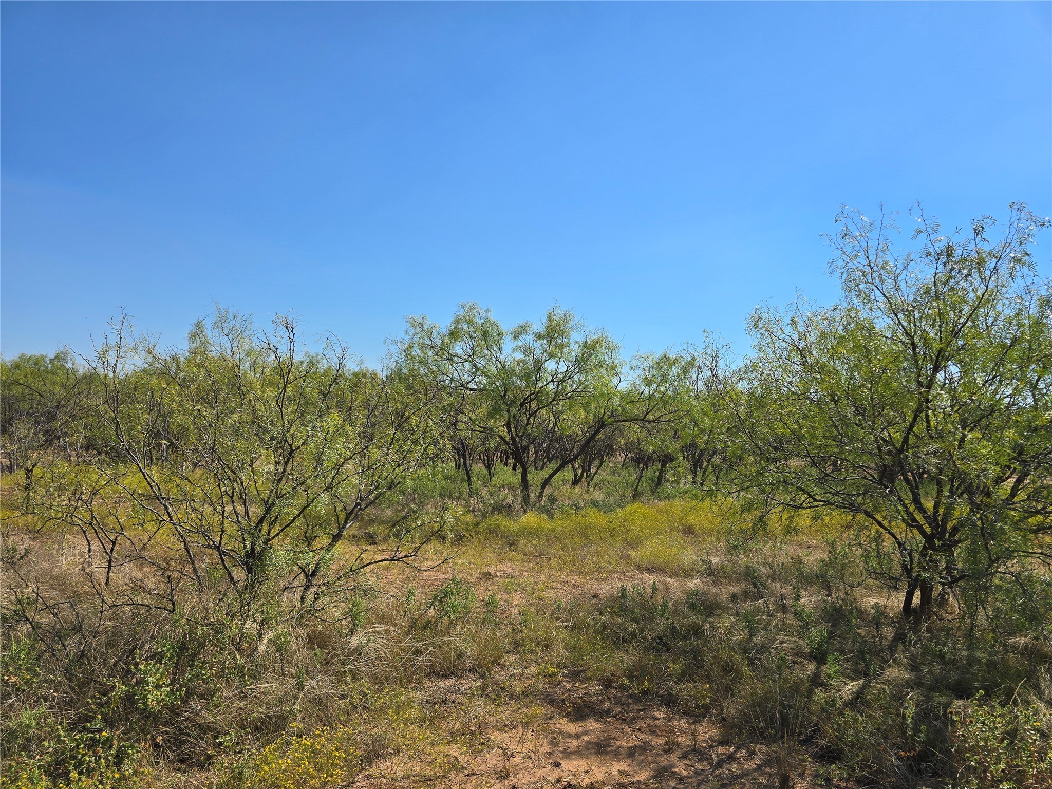 Tbd Cr 498 Goldsboro TX 79519