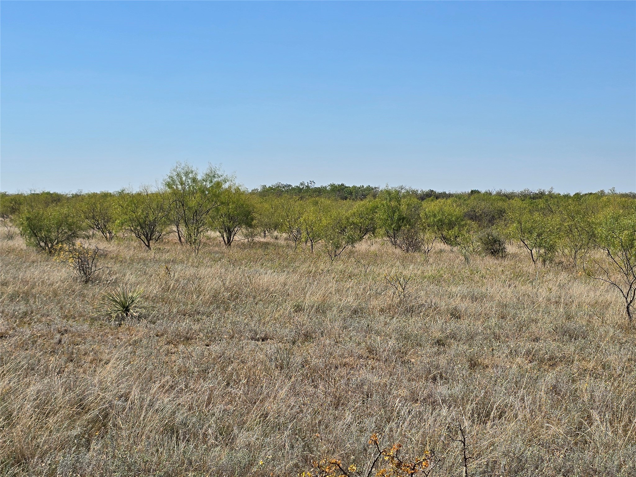 Tbd Cr 498 Goldsboro TX 79519
