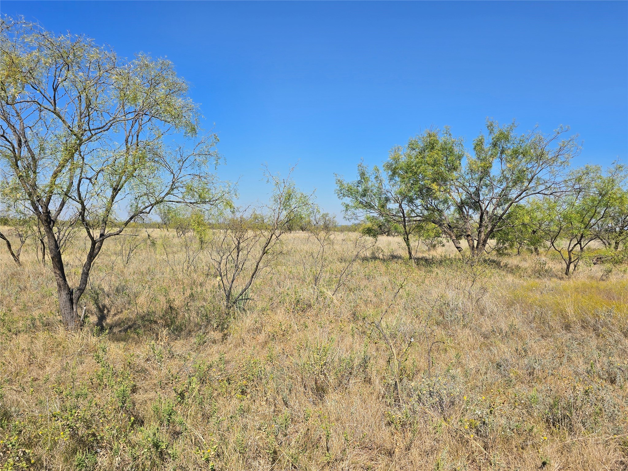 Tbd Cr 498 Goldsboro TX 79519