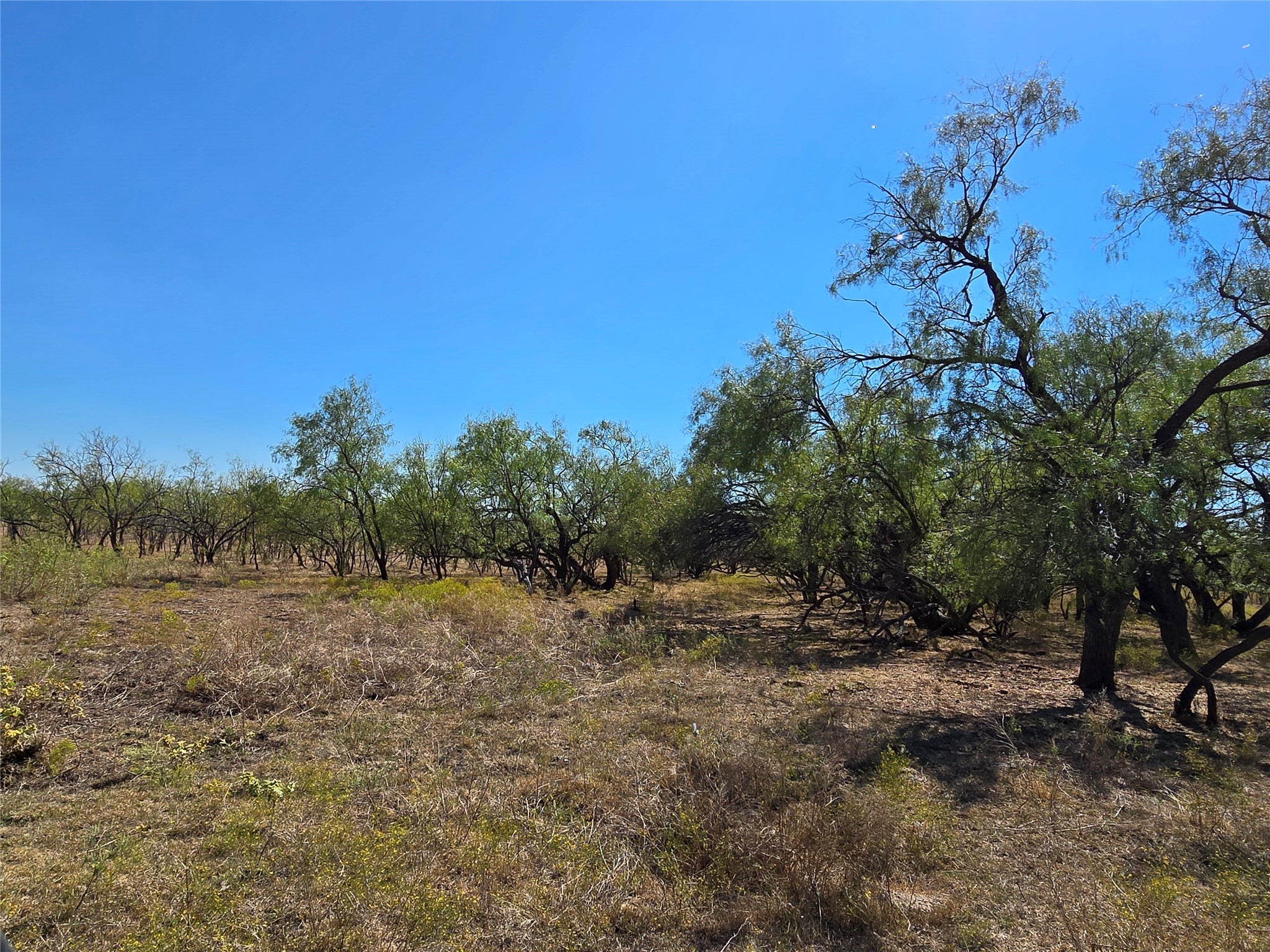 Tbd Cr 498 Goldsboro TX 79519