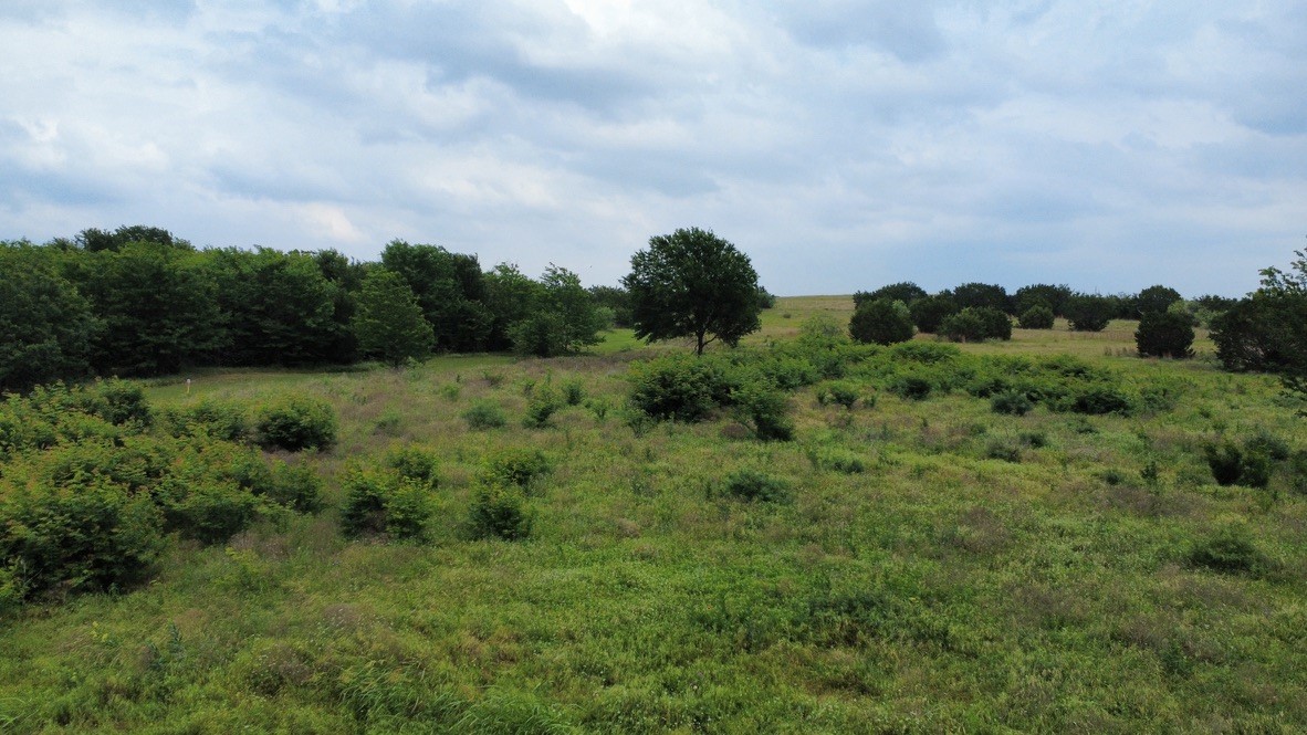 1078 Timber Hills Drive Weatherford TX 76087