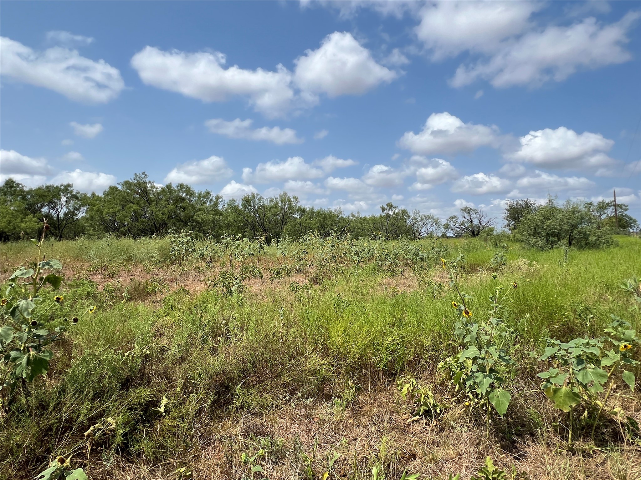 Tbd Fm 614 Ovalo TX 79541