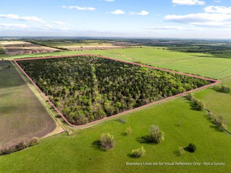 TBD County Road 3230 Ben Franklin TX 75415