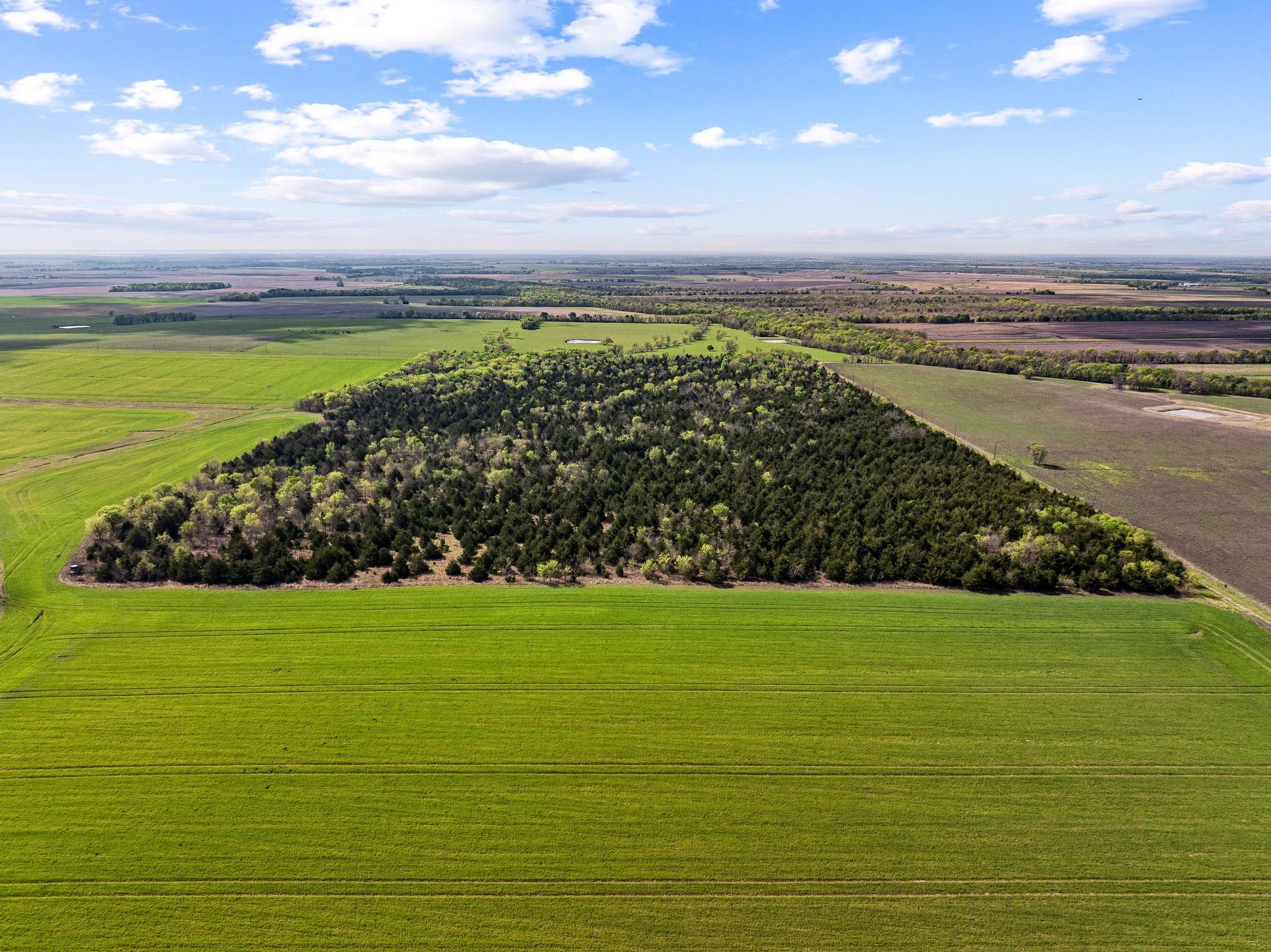 Tbd County Road 3230 Ben Franklin TX 75415