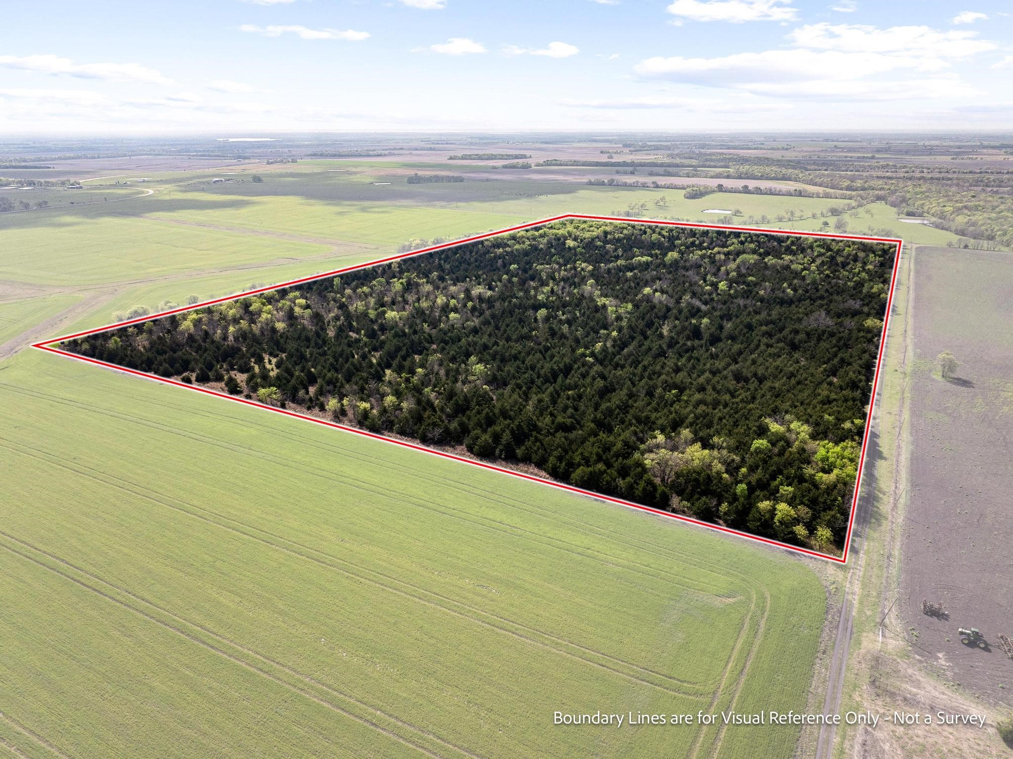 Tbd County Road 3230 Ben Franklin TX 75415