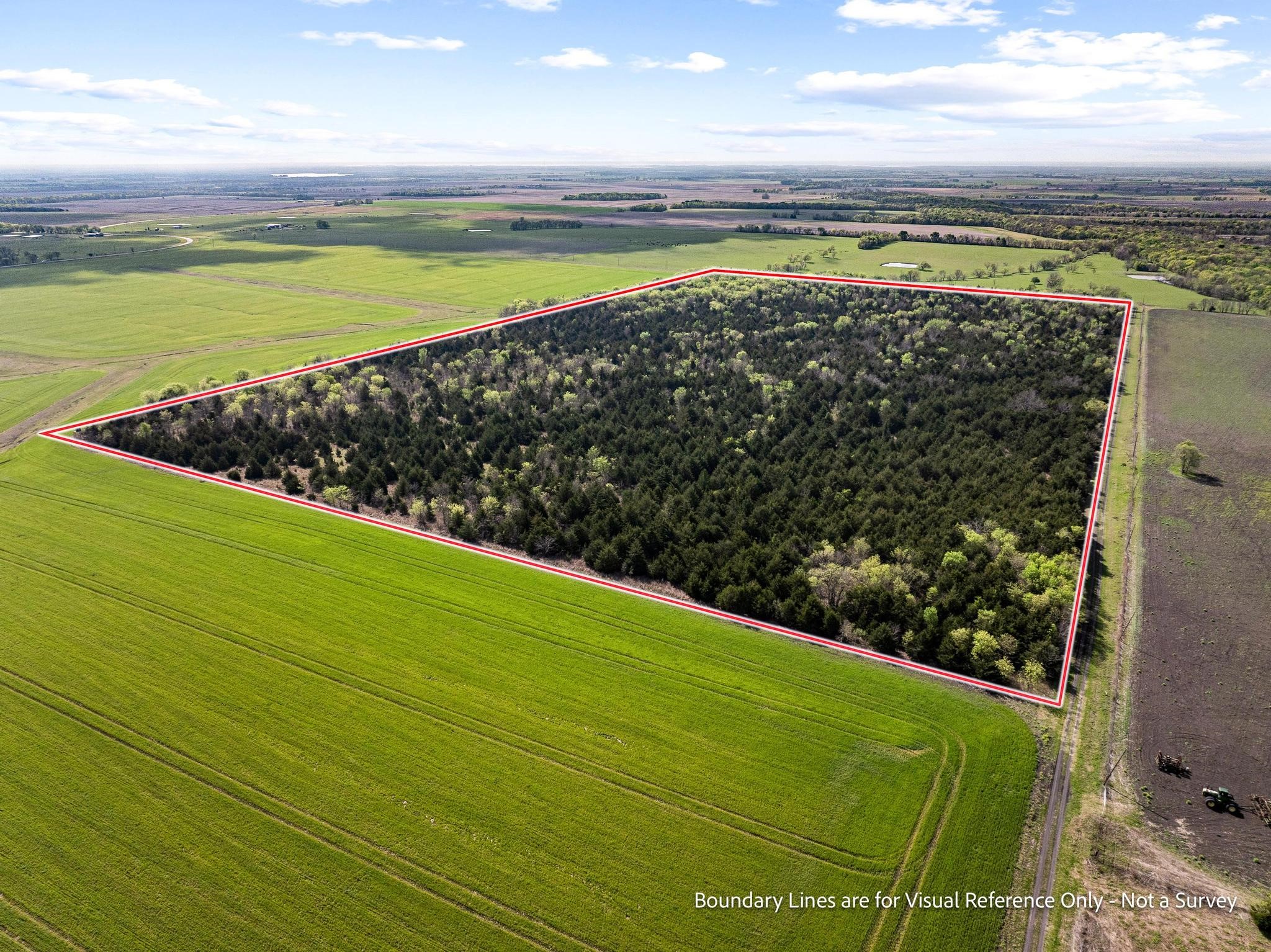 Tbd County Road 3230 Ben Franklin TX 75415