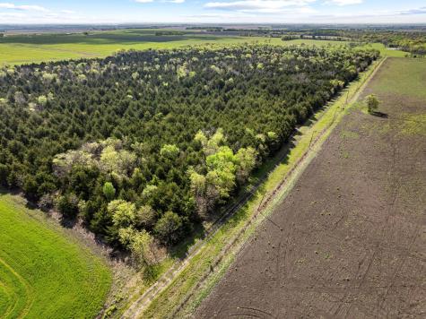 Tbd County Road 3230 Ben Franklin TX 75415