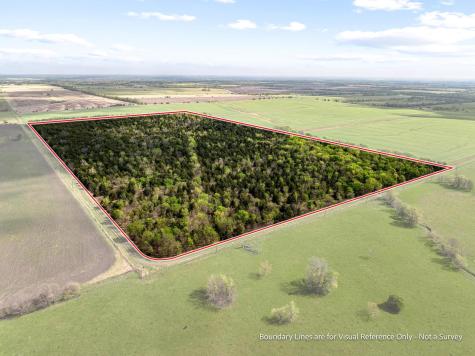 Tbd County Road 3230 Ben Franklin TX 75415