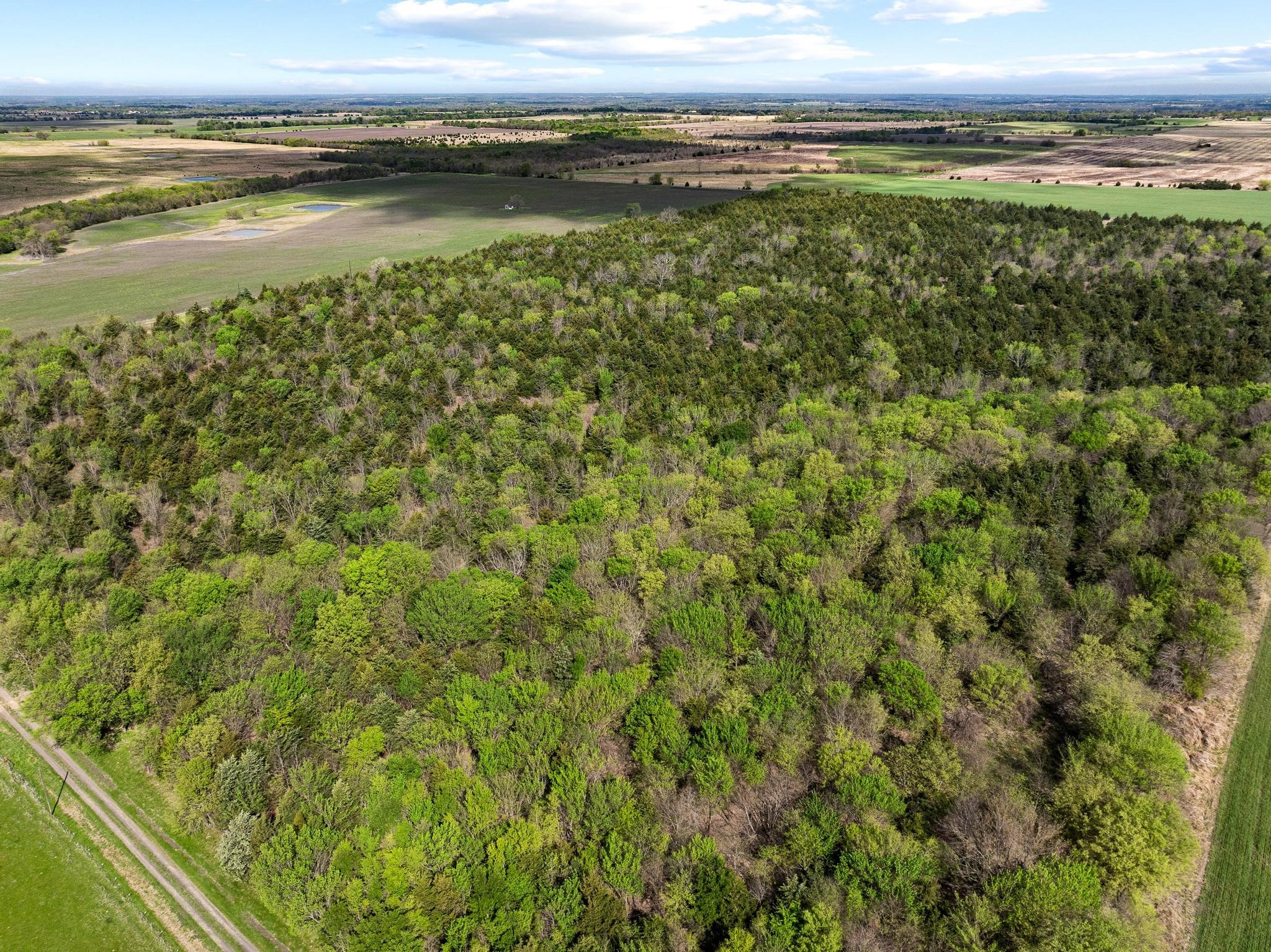 Tbd County Road 3230 Ben Franklin TX 75415