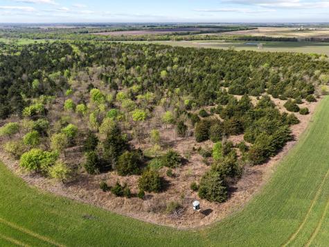 Tbd County Road 3230 Ben Franklin TX 75415