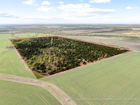 Tbd County Road 3230 Ben Franklin TX 75415