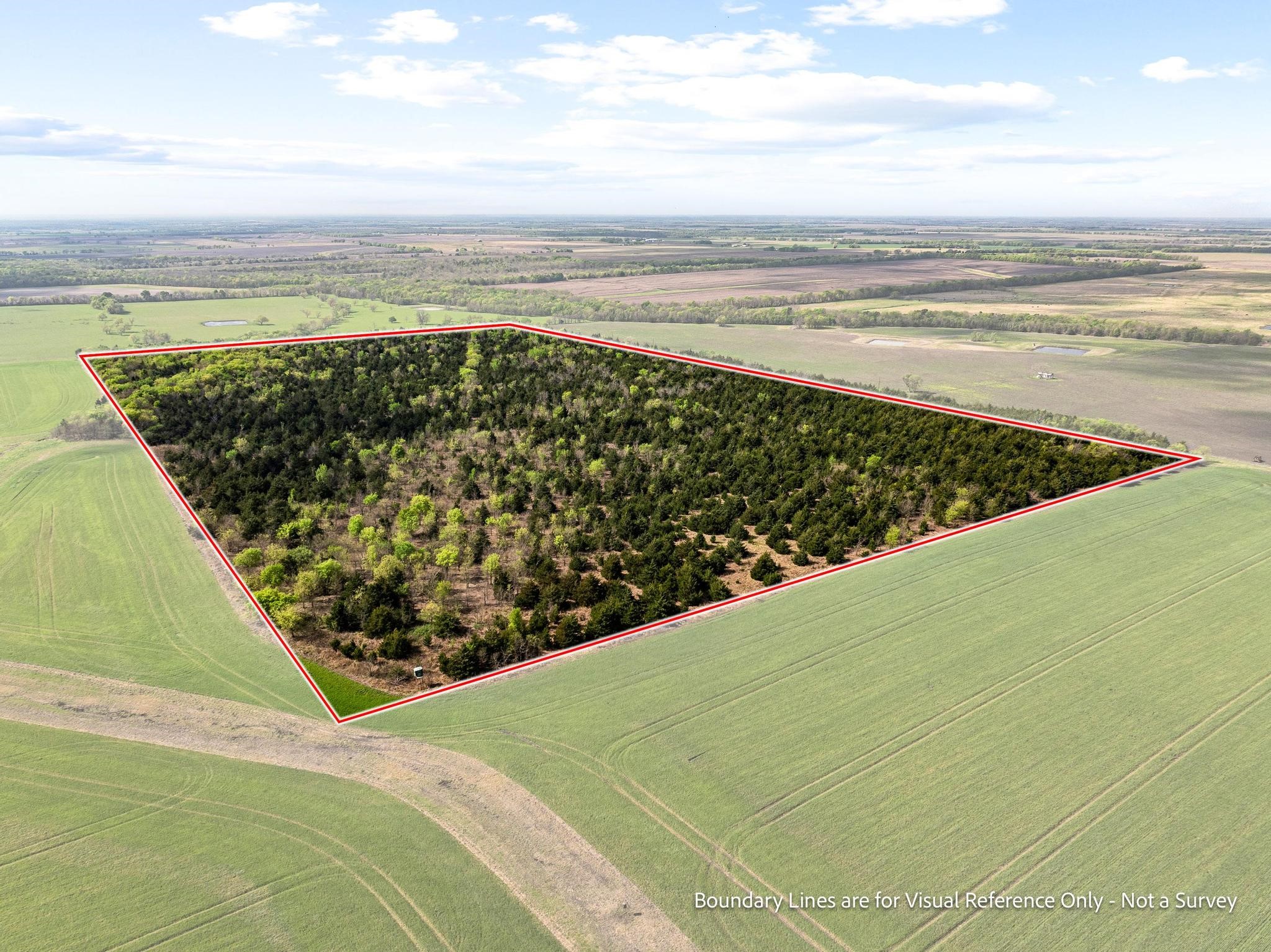 Tbd County Road 3230 Ben Franklin TX 75415