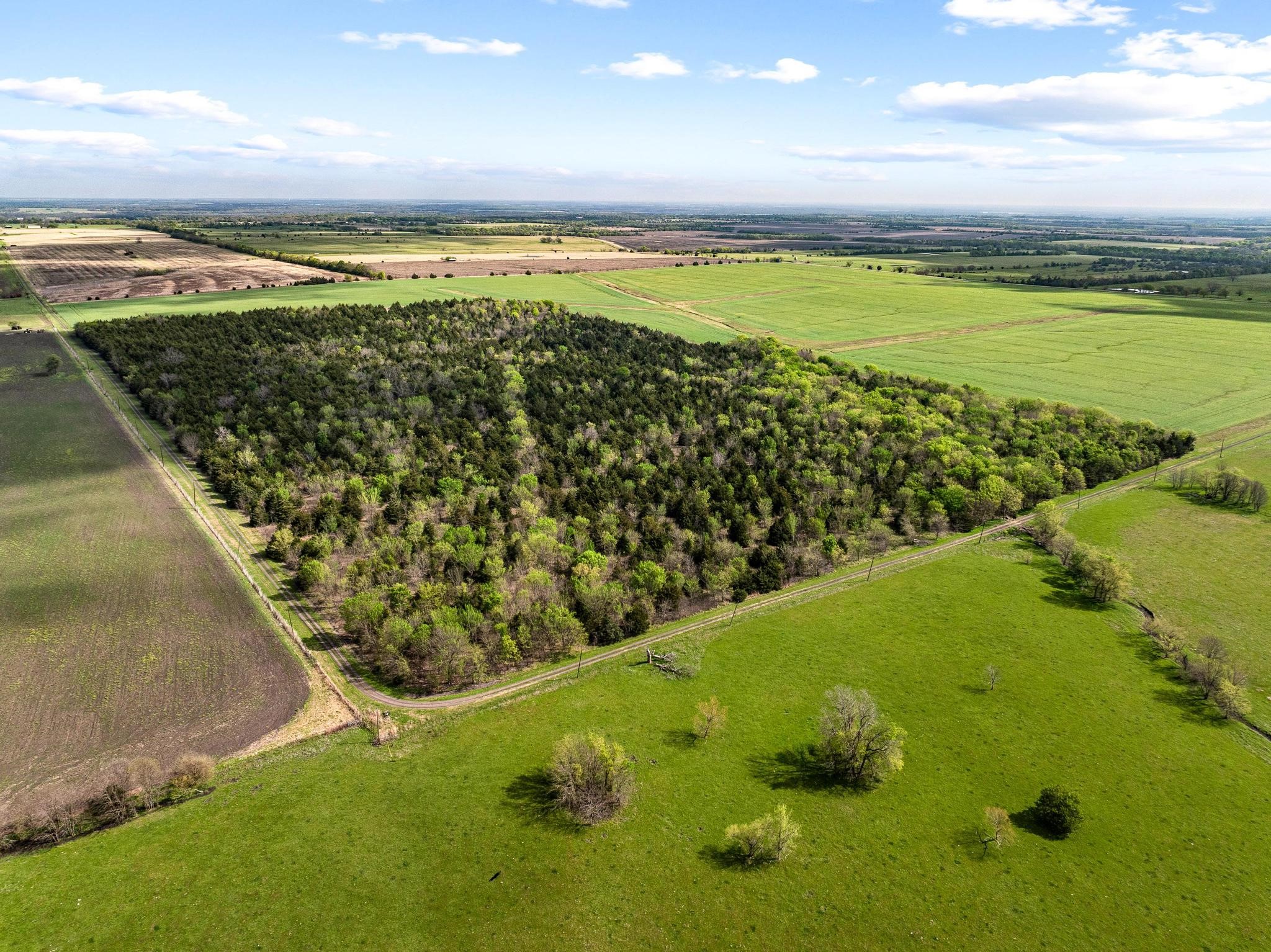 Tbd County Road 3230 Ben Franklin TX 75415