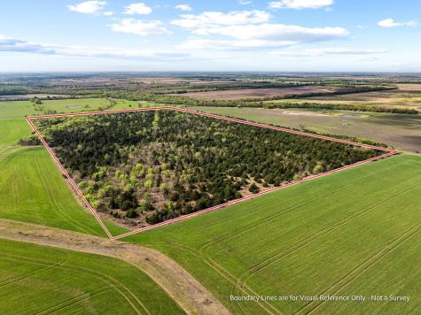 Tbd County Road 3230 Ben Franklin TX 75415