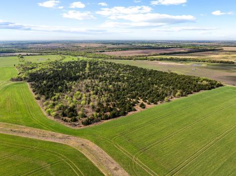 TBD County Road 3230 Ben Franklin TX 75415