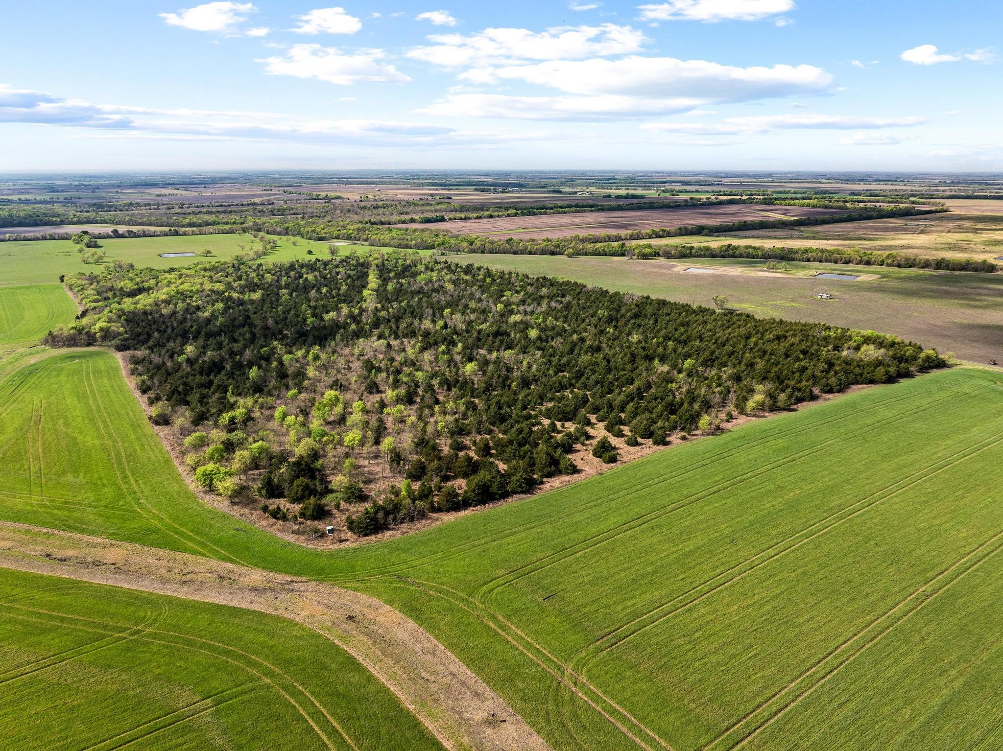 Tbd County Road 3230 Ben Franklin TX 75415