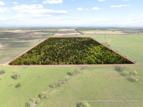 Tbd County Road 3230 Ben Franklin TX 75415