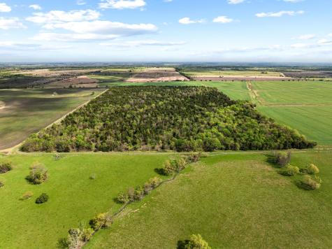 Tbd County Road 3230 Ben Franklin TX 75415