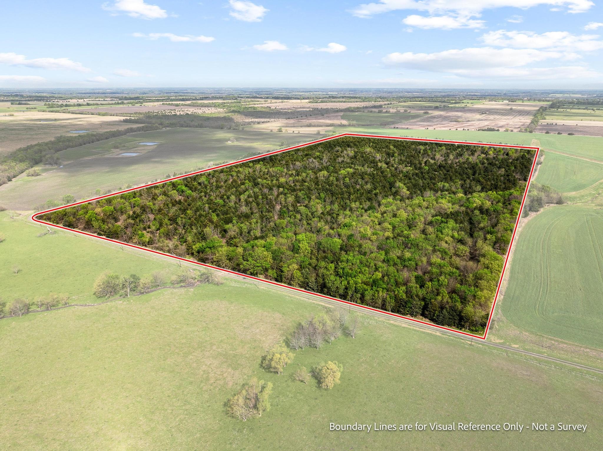 Tbd County Road 3230 Ben Franklin TX 75415