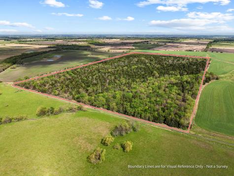 Tbd County Road 3230 Ben Franklin TX 75415