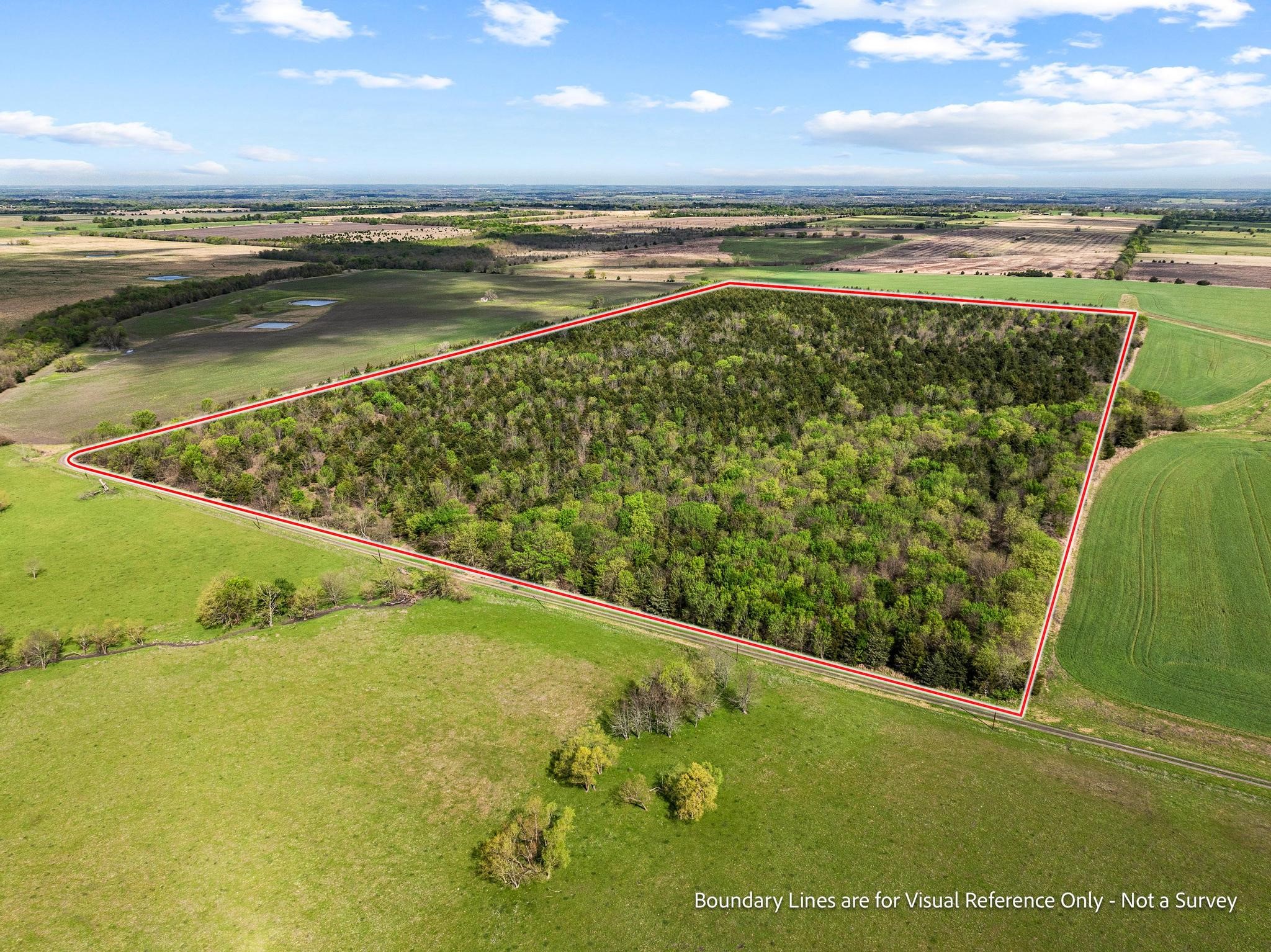 Tbd County Road 3230 Ben Franklin TX 75415