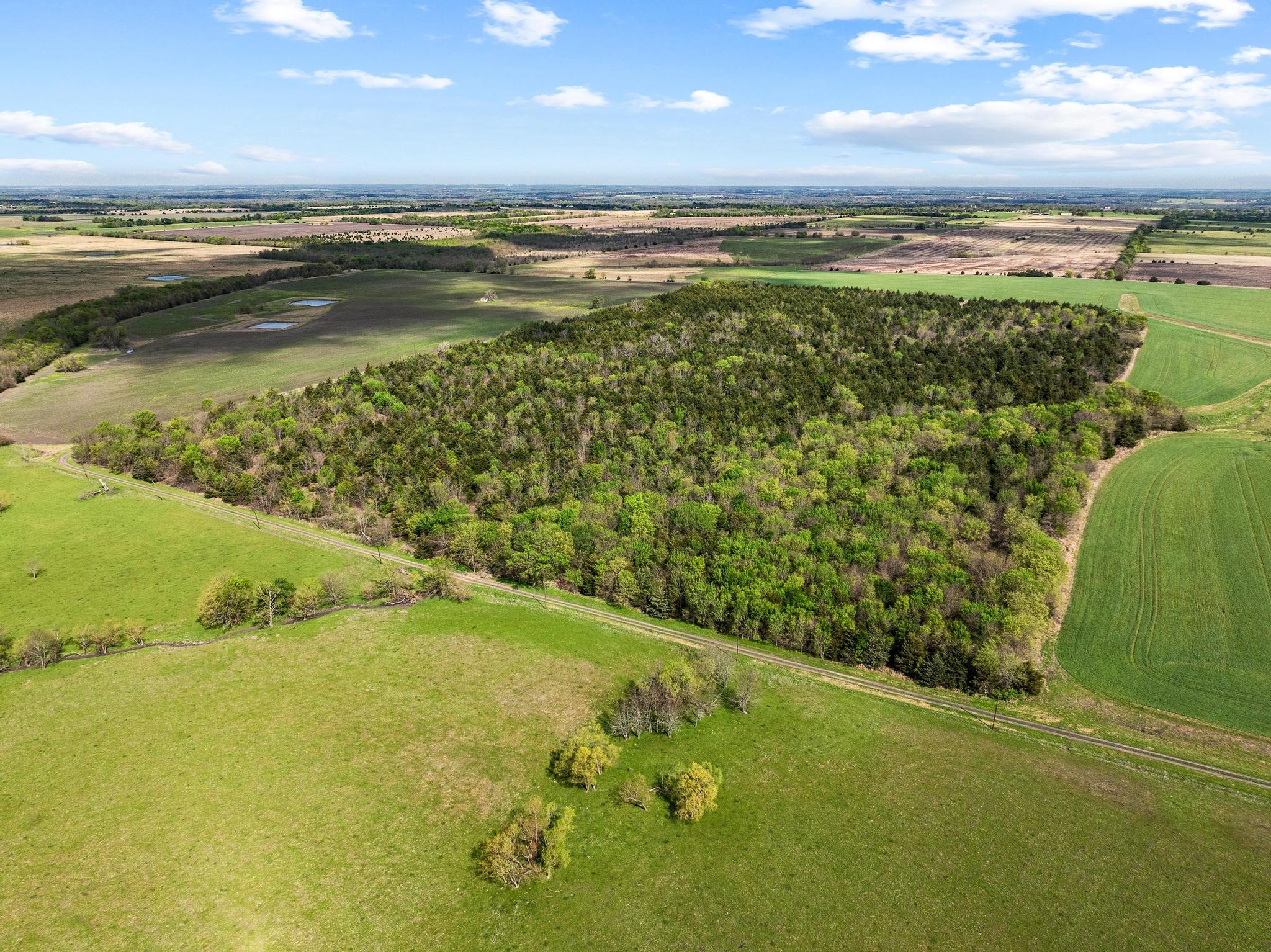 Tbd County Road 3230 Ben Franklin TX 75415