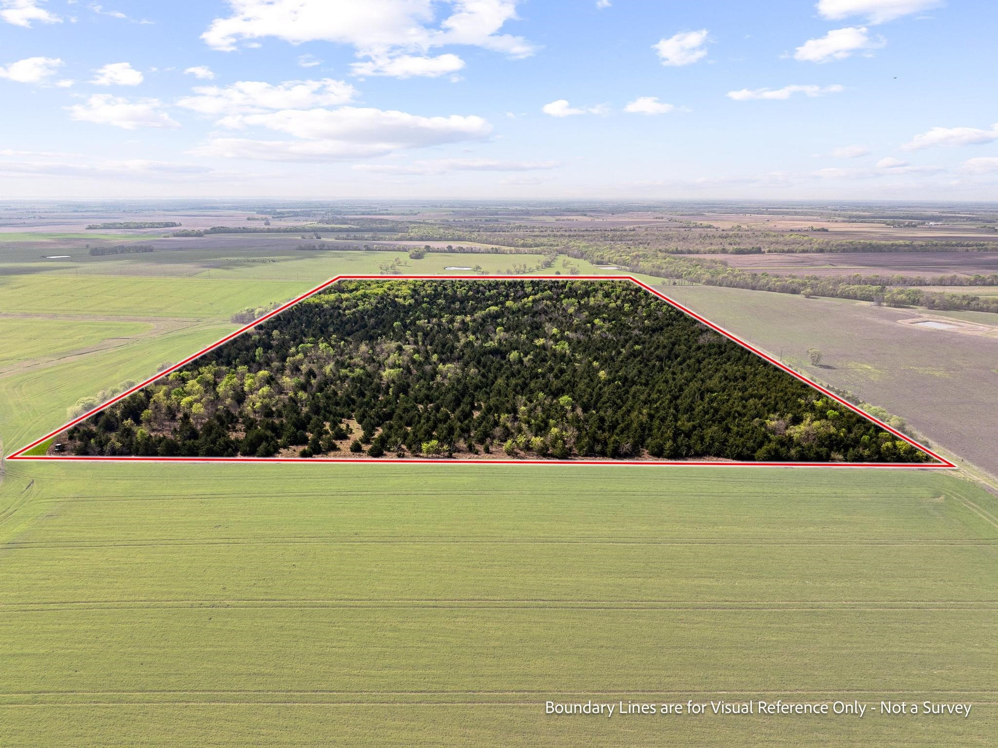 Tbd County Road 3230 Ben Franklin TX 75415