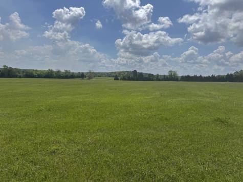 TBD-B Fm 2867 Henderson TX 75654