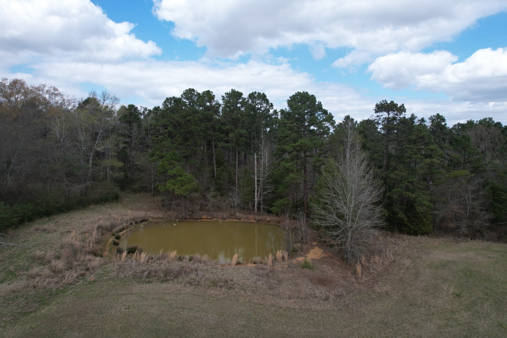 Tbd-b Fm 2867 Henderson TX 75654