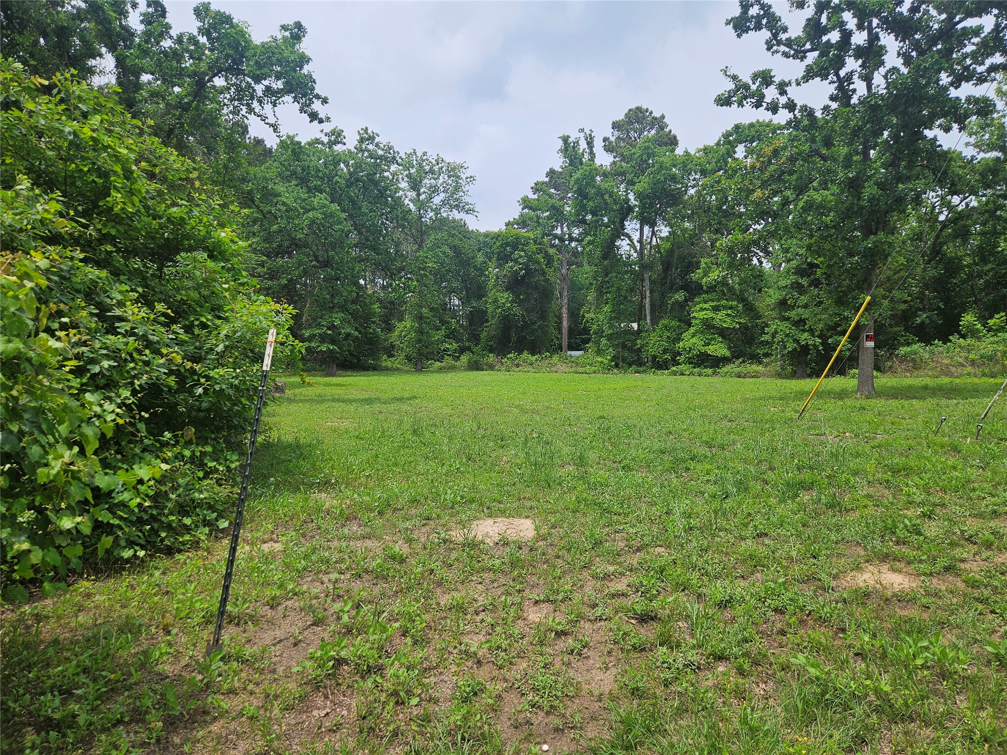 376 Elizabeth Drive Bullard TX 75757
