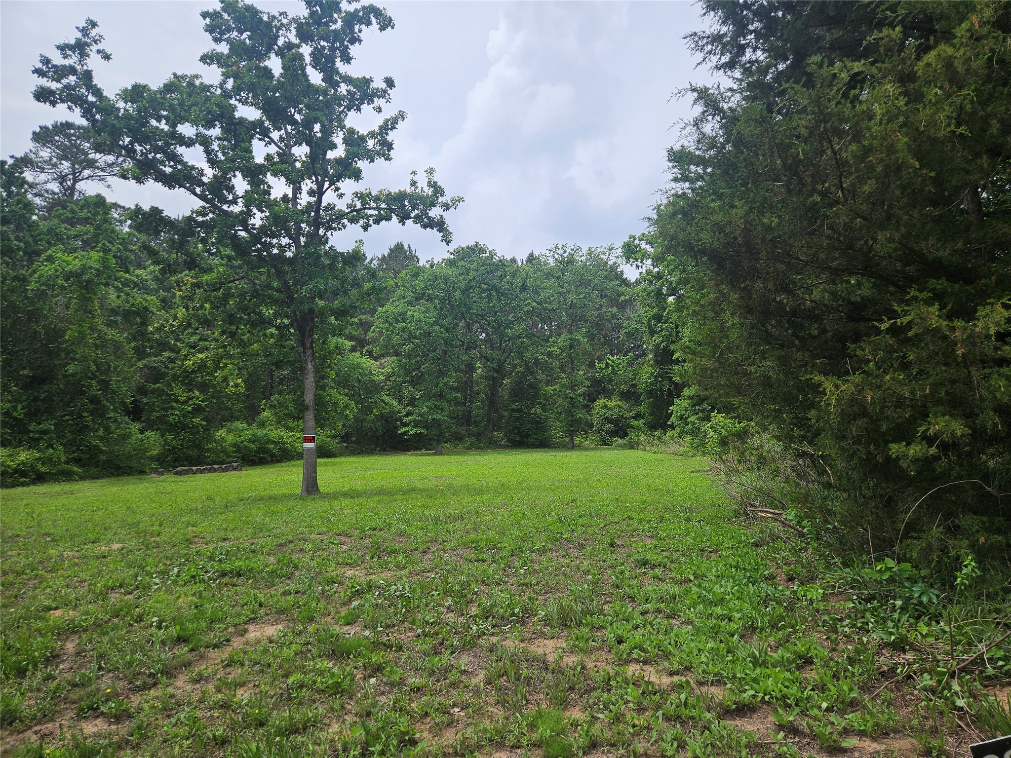 376 Elizabeth Drive Bullard TX 75757