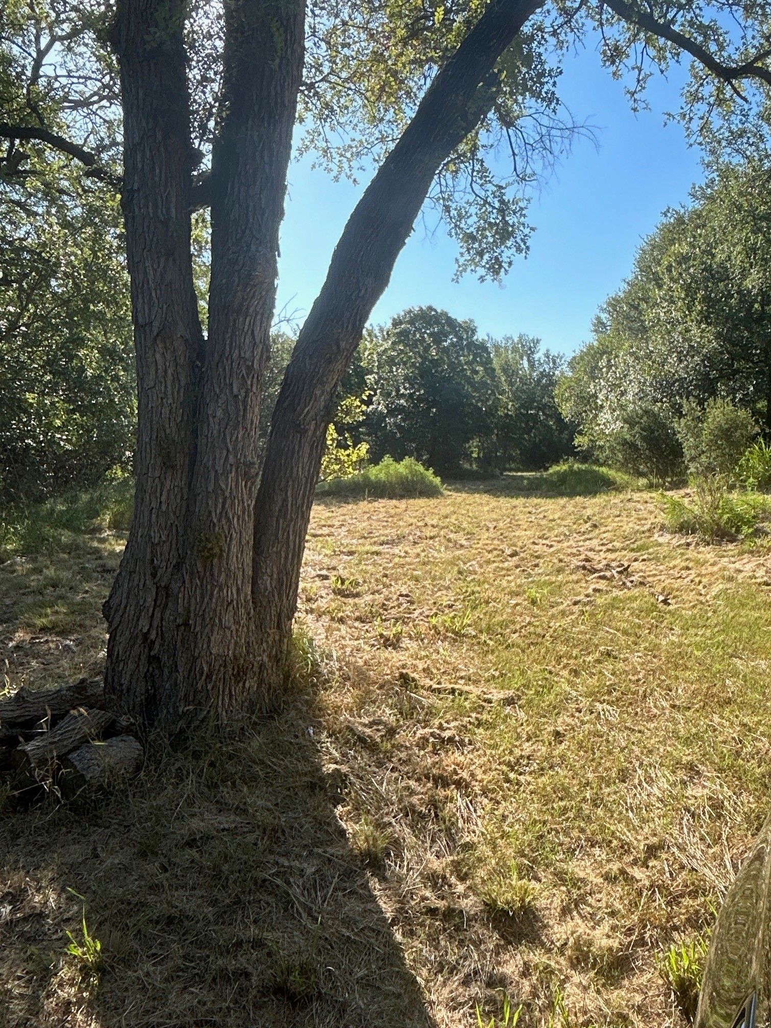 Tbd Cr 554, Brownwood Tx7 County Road 554 Brownwood TX 76801
