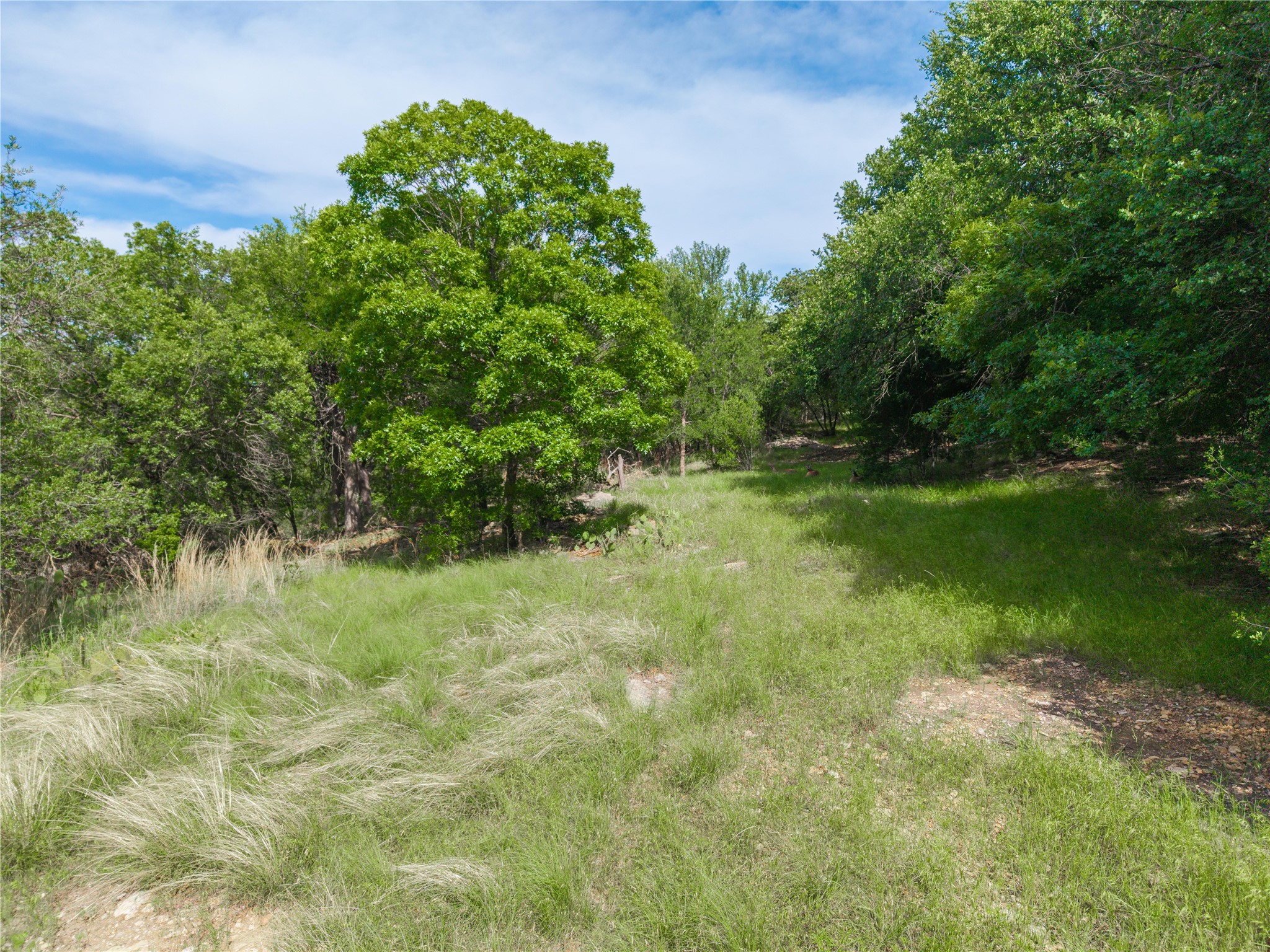 Tbd Cr 554, Brownwood Tx7 County Road 554 Brownwood TX 76801