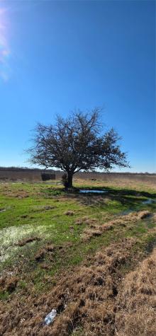 6305 NW County Road 1120 Corsicana TX 75110