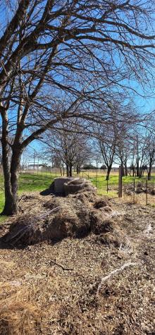 6305 NW County Road 1120 Corsicana TX 75110