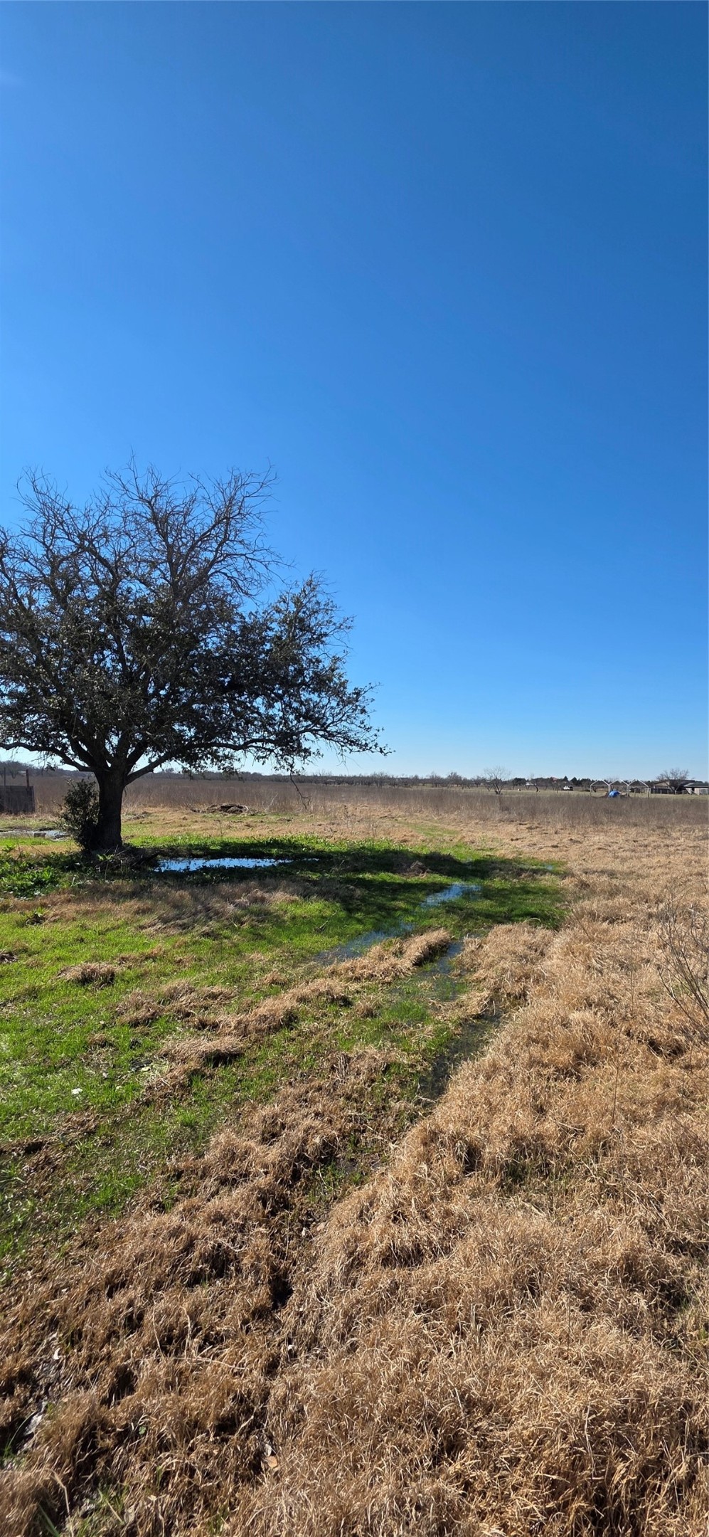 6305 NW County Road 1120 Corsicana TX 75110