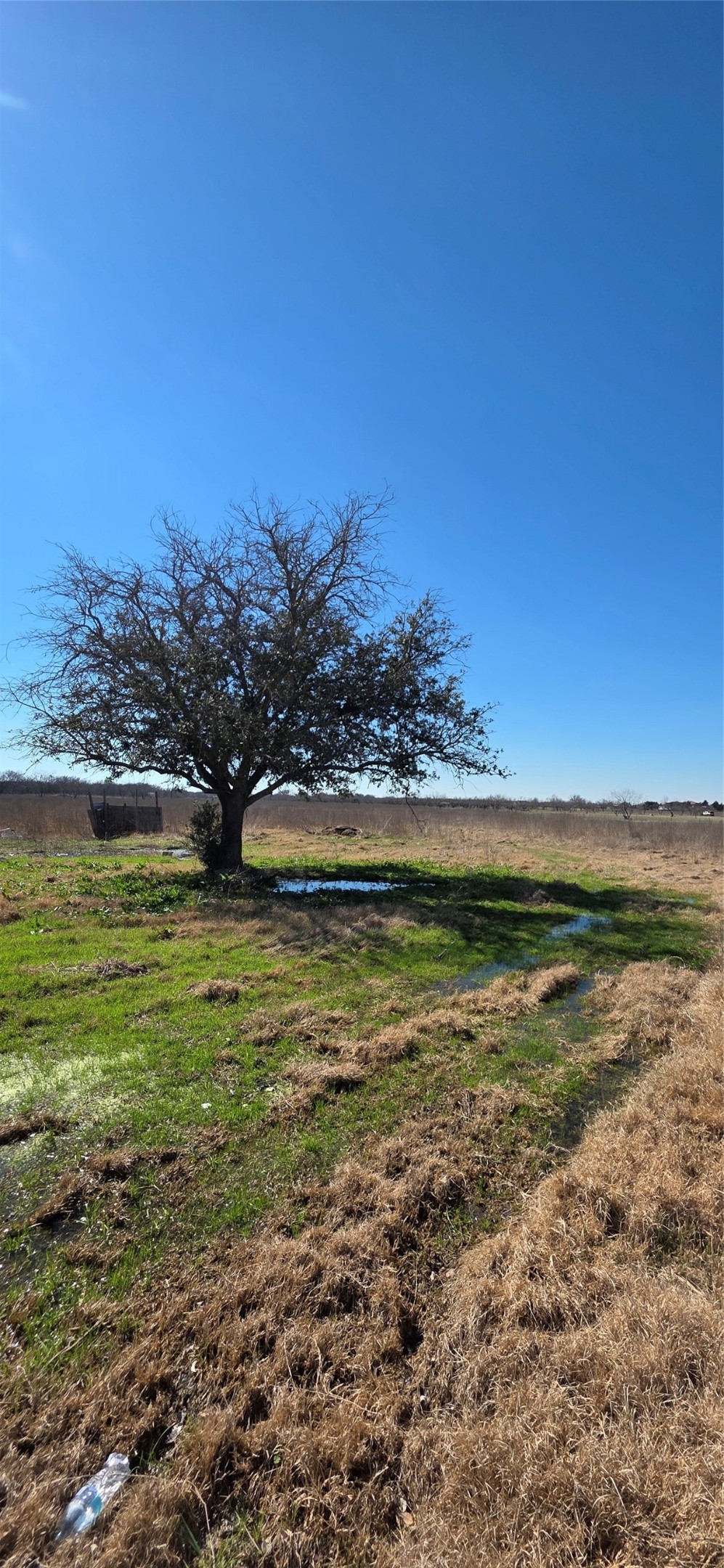 6305 NW County Road 1120 Corsicana TX 75110