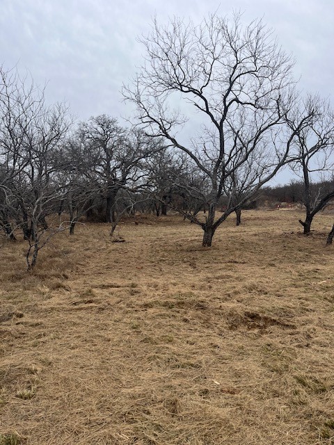 Tract 7 Of 17 Ac Burwick Road Jacksboro TX 76458