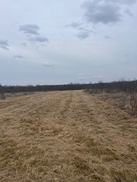Tract 7 Of 17 Ac Burwick Road Jacksboro TX 76458