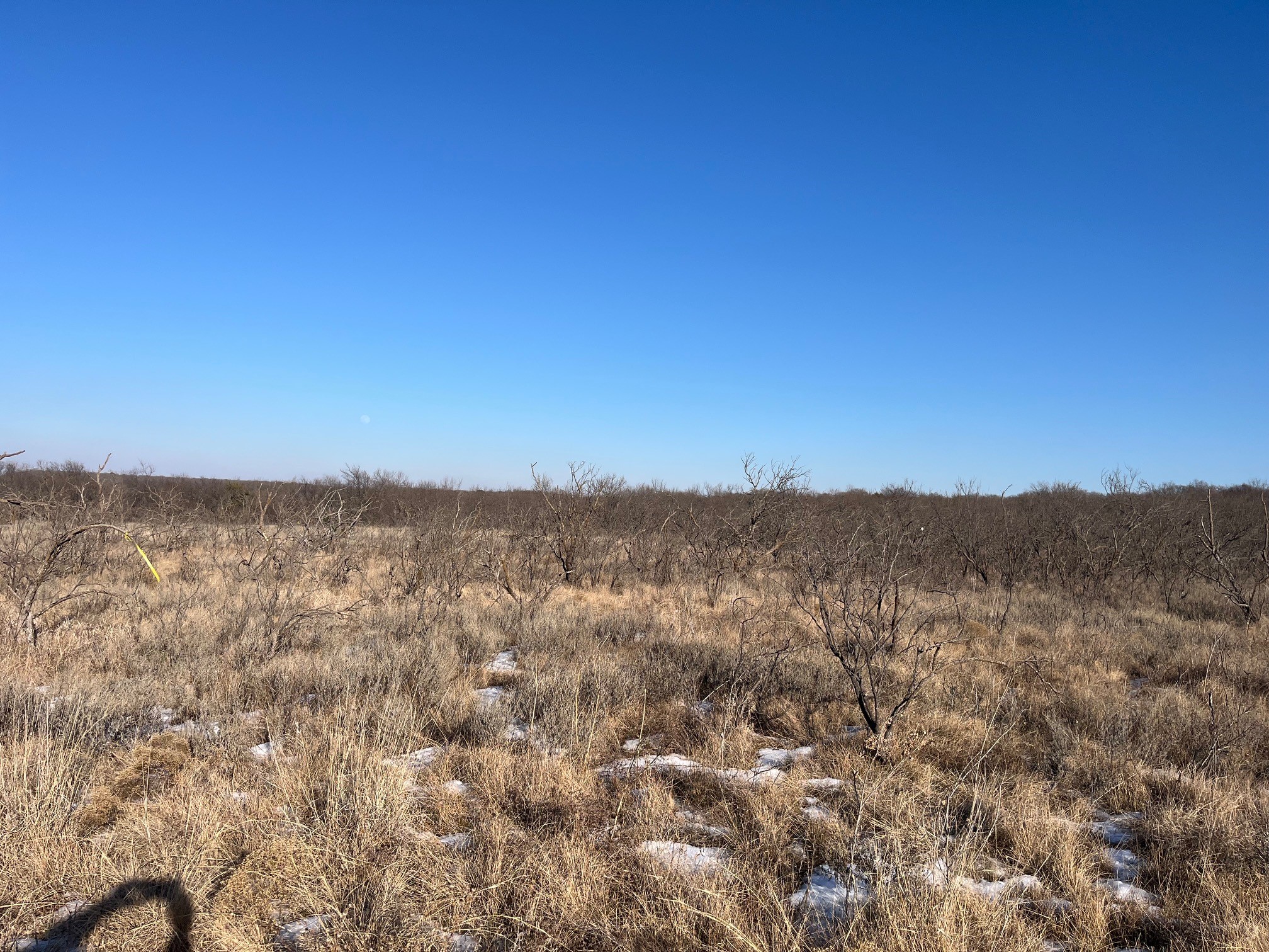 Tract 7 Of 17 Ac Burwick Road Jacksboro TX 76458