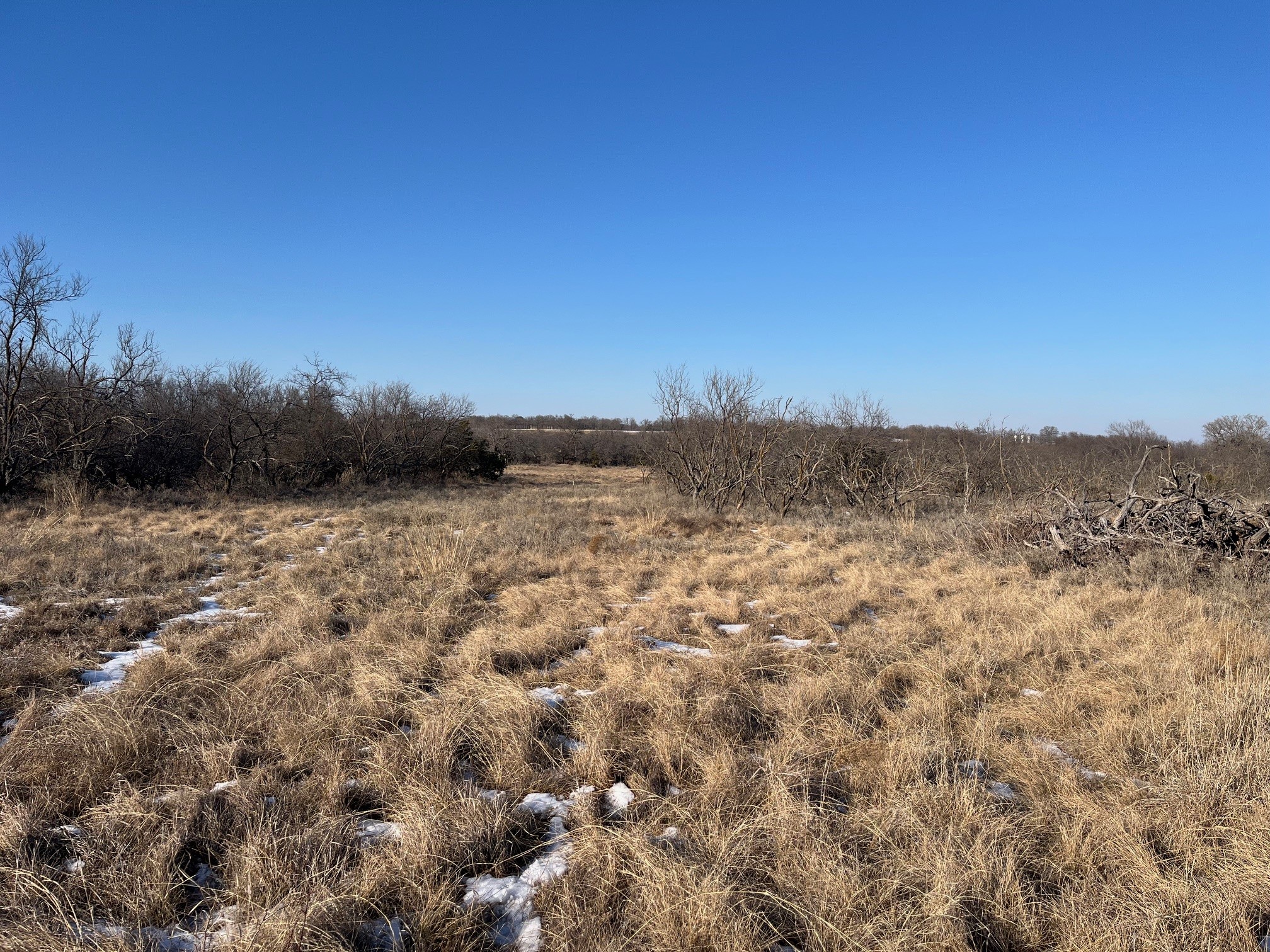Tract 7 Of 17 Ac Burwick Road Jacksboro TX 76458
