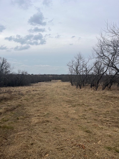 Tract 7 Of 17 Ac Burwick Road Jacksboro TX 76458