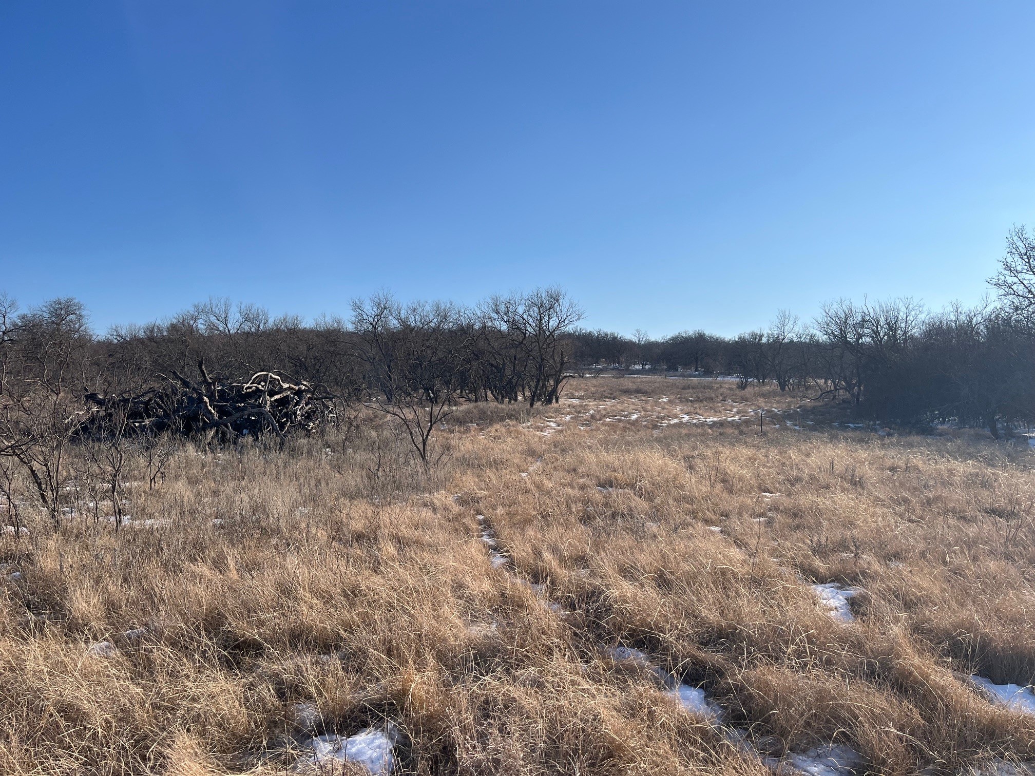 Tract 7 Of 17 Ac Burwick Road Jacksboro TX 76458