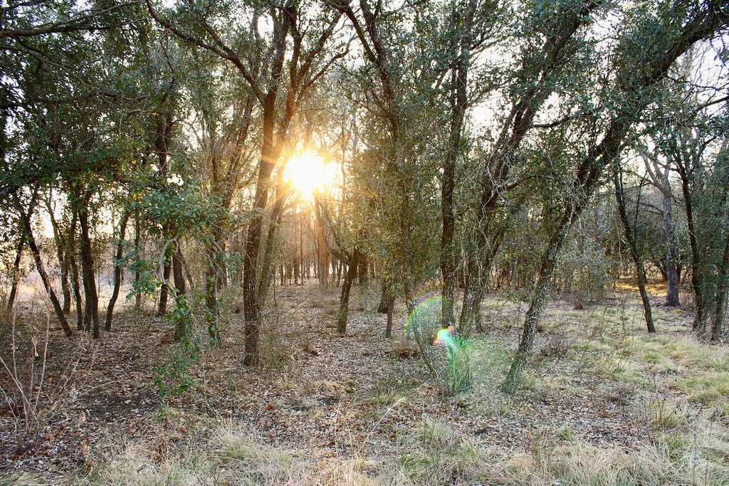 Lot 49 Tatanka Trail Gustine TX 76455