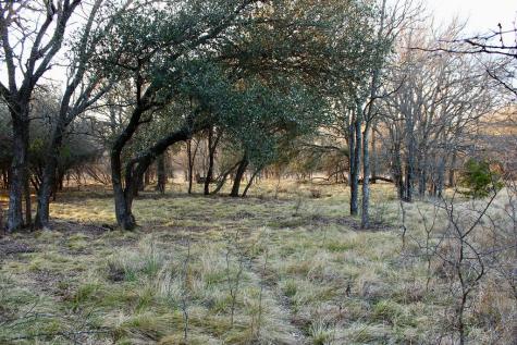 Lot 49 Tatanka Trail Gustine TX 76455