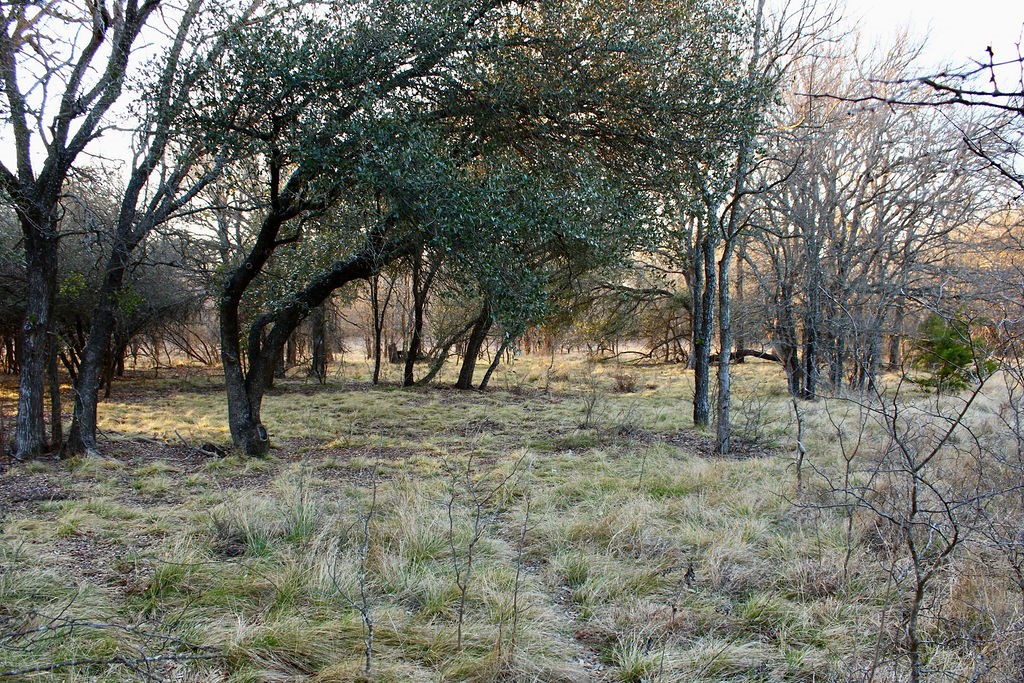 Lot 49 Tatanka Trail Gustine TX 76455