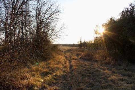 Lot 49 Tatanka Trail Gustine TX 76455