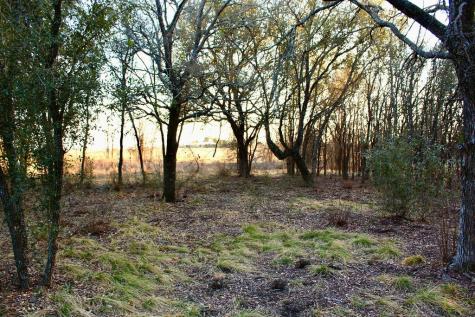 Lot 49 Tatanka Trail Gustine TX 76455