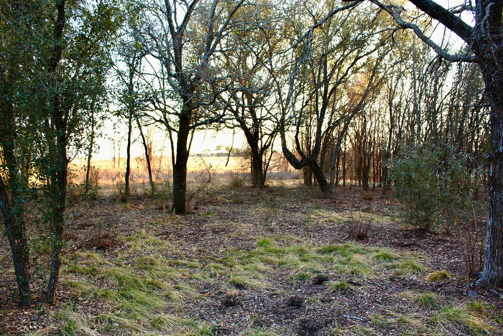 Lot 49 Tatanka Trail Gustine TX 76455